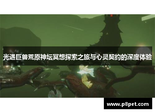 光遇巨兽荒原神坛冥想探索之旅与心灵契约的深度体验